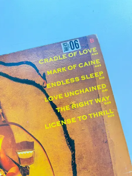 Foto de um(a) ​LP Charmed Life - Billy Idol 1990, da categoria de LPs ou Discos de Vinil. LP Charmed Life, Billy Idol, de 1990. Perfeito estado. Mostrado de uma perspectiva diferente. Vendido no marketplace Trésors.