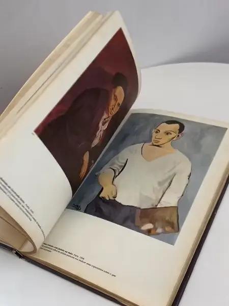 Foto de um(a) Livro capa dura em português - Picasso - 1981, da categoria de Livros. Livro capa dura em português, de 1981, muito ilustrado a cores, sobre as obras de Picasso. Marcas do tempo e uso. 150... Mostrado de uma perspectiva diferente. Vendido no marketplace Trésors.