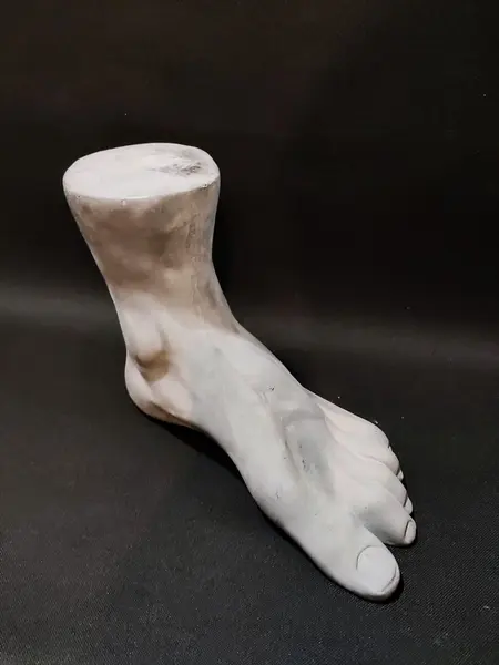 Foto de um(a) Escultura Fragmento Pé Masculino, Década de 2020, da categoria de Escultura. Escultura, fragmento em cimento do pé esquerdo masculino ricamente detalhado, década de 2020 A: 19,5 cm L: 26,5 cm P: 11 cm... Mostrado de uma perspectiva diferente. Vendido no marketplace Trésors.