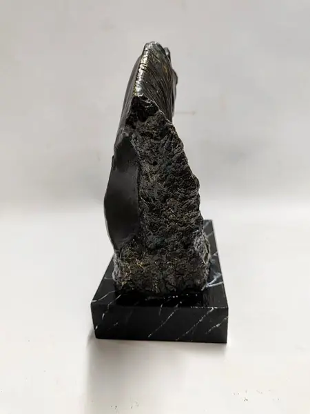 Foto de um(a) Escultura Equina Garanhão em Resina Italiana, Anos 2000, da categoria de Escultura. Escultura equina de garanhão premiado em resina italiana com acabamento em pátina bronze oxidado e base em madeira... Mostrado de uma perspectiva diferente. Vendido no marketplace Trésors.