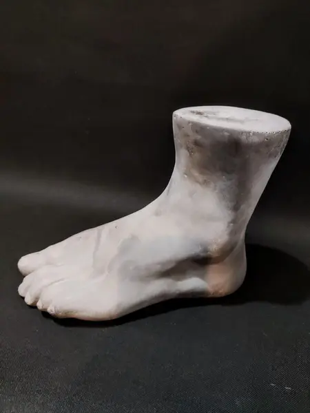 Foto de um(a) Escultura Fragmento Pé Masculino, Década de 2020, da categoria de Escultura. Escultura, fragmento em cimento do pé esquerdo masculino ricamente detalhado, década de 2020 A: 19,5 cm L: 26,5 cm P: 11 cm... Mostrado de uma perspectiva diferente. Vendido no marketplace Trésors.