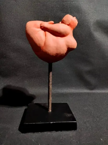 Foto de um(a) Escultura Terracota, da categoria de Escultura. Escultura corpo feminino em terracota com base em madeira e haste em ferro autor: marcelus ribas A: 26 cm L da escultura:... Mostrado de uma perspectiva diferente. Vendido no marketplace Trésors.