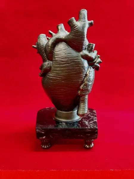 Foto de um(a) Escultura Heart, Peça Única, Década de 2000, da categoria de Escultura. Escultura heart: escultura coração anatômico em resina com pátina bronze, base em granito preto e pés de latão, década de... Mostrado de uma perspectiva diferente. Vendido no marketplace Trésors.