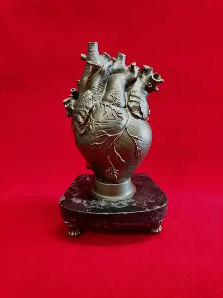 Foto de um(a) Escultura Heart, Peça Única, Década de 2000, da categoria de Escultura. Escultura heart: escultura coração anatômico em resina com pátina bronze, base em granito preto e pés de latão, década de... Mostrado de uma perspectiva diferente. Vendido no marketplace Trésors.
