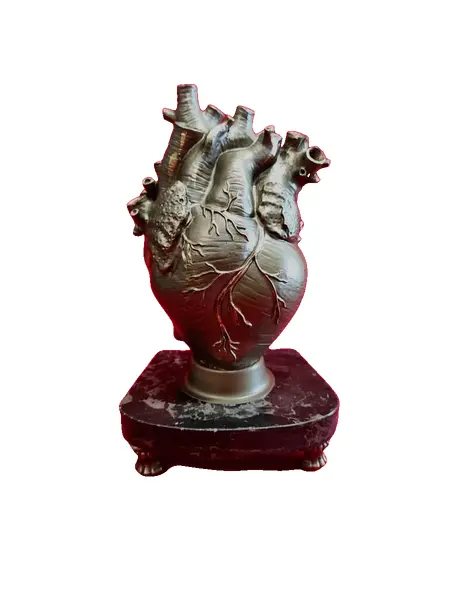 Foto de um(a) Escultura Heart, Peça Única, Década de 2000, da categoria de Escultura. Escultura heart: escultura coração anatômico em resina com pátina bronze, base em granito preto e pés de latão, década de... Vendido no marketplace Trésors.