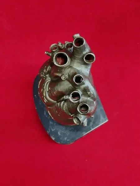 Foto de um(a) Escultura Heart, Peça Única, Década de 2000, da categoria de Escultura. Escultura heart: escultura coração anatômico em resina com pátina bronze, base em granito preto e pés de latão, década de... Mostrado de uma perspectiva diferente. Vendido no marketplace Trésors.