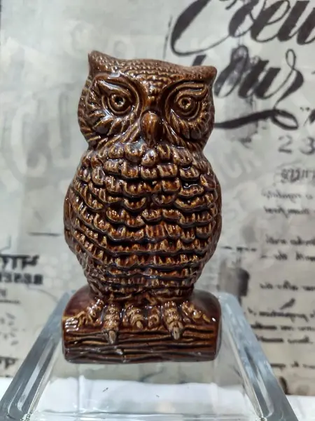 Foto de um(a) Coruja Porcelana Anos 50, da categoria de Modelos e estatuetas. Coruja em porcelana esmaltada, década de 1950 A: 12,7 cm L: 7,5 cm P: 5,6 cm Peso: 235 g. Mostrado de uma perspectiva diferente. Vendido no marketplace Trésors.