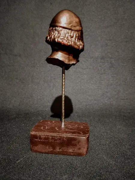 Foto de um(a) Fragmento Rosto Masculino, da categoria de Escultura. Fragmento de escultura de um rosto masculino em gesso com acabamento em bronze envelhecido e base em madeira e couro... Mostrado de uma perspectiva diferente. Vendido no marketplace Trésors.