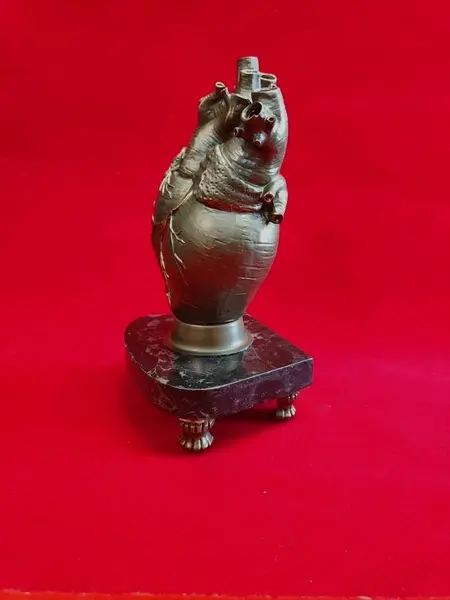 Foto de um(a) Escultura Heart, Peça Única, Década de 2000, da categoria de Escultura. Escultura heart: escultura coração anatômico em resina com pátina bronze, base em granito preto e pés de latão, década de... Mostrado de uma perspectiva diferente. Vendido no marketplace Trésors.