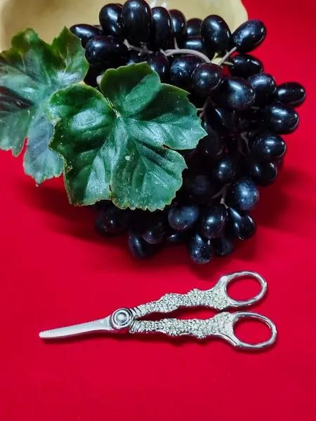 Foto de um(a) Tesoura em Prata 90 com Cabo em Relevo, Década de 1970, da categoria de Outros utensílios. Tesoura em prata 90 com cabo em relevo, usada a mesa para cortar cachos de uvas, década de 1970 14 x 6 cm. Mostrado de uma perspectiva diferente. Vendido no marketplace Trésors.