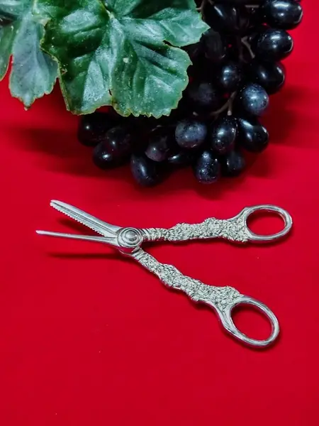 Foto de um(a) Tesoura em Prata 90 com Cabo em Relevo, Década de 1970, da categoria de Outros utensílios. Tesoura em prata 90 com cabo em relevo, usada a mesa para cortar cachos de uvas, década de 1970 14 x 6 cm. Mostrado de uma perspectiva diferente. Vendido no marketplace Trésors.