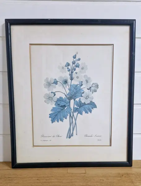 Foto de um(a) Belíssimo conjunto antigo de gravuras botânicas Pierre-Joseph Redouté, da categoria de Impressões. Conjunto composto de três belos quadros de gravuras botânicas antigas estilo vintage, do renomado pintor e botânico belga... Mostrado de uma perspectiva diferente. Vendido no marketplace Trésors.