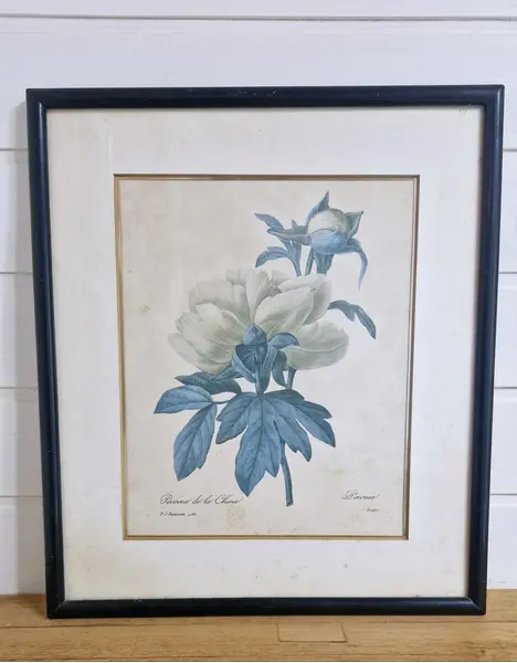 Foto de um(a) Lindo par de quadros com gravuras botânicas Séc. XIX Pierre-Joseph Redouté, da categoria de Impressões. Esses dois lindos quadros apresentam ilustrações botânicas clássicas do renomado pintor e botânico Pierre-Joseph Redouté. A... Mostrado de uma perspectiva diferente. Vendido no marketplace Trésors.