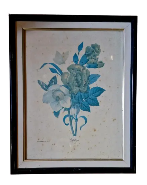 Foto de um(a) Belo Quadro de Botânica Vintage por P.J. Redouté, da categoria de Desenhos. Eléboro e Borboletas Tema: Ilustração botânica vintage de Pierre-Joseph Redouté ("Ellébore").Cores e Detalhes: Arranjo... Vendido no marketplace Trésors.