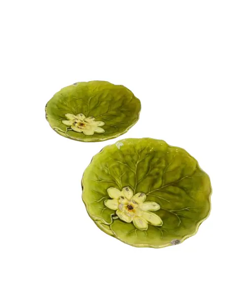 Foto de um(a) Pratos em cerâmica vitrificada formato vitória régia, da categoria de Pratos Decorativos. Maravilhosos pratos em cerâmica vitrificada, no formato de vitória régia. Os dois estão com lascados e marcas do tempo e... Vendido no marketplace Trésors.