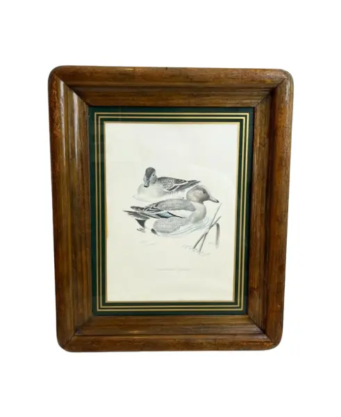 Foto de um(a) ​Impressão emoldurada em madeira e vidro - Patos na lagoa, da categoria de Impressões. Impressão emoldurada em madeira e vidro. Marcas do tempo e uso na moldura, mas nada que um leve restauro não resolva. ... Vendido no marketplace Trésors.