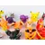Foto de um(a) Lote Pokémon, da categoria de Brinquedos antigos. Kit de miniaturas Pokémon com personagens variados e possivelmente alguns repetidos. Mínimas marcas de uso. Em bom estado. Mostrado de uma perspectiva diferente. Vendido no marketplace Trésors.
