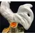 Foto de um(a) Escultura de galo em porcelana, da categoria de Escultura. Galo em porcelana com manufatura portuguesa em policromia pintado a mão. Em bom estado de conservação. Mostrado de uma perspectiva diferente. Vendido no marketplace Trésors.