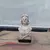 Foto de um(a) Pequeno busto de resina da Justiça, da categoria de Escultura. Pequeno busto de resina da JustiçaDimensões: Altura: 22Largura: 12Profundidade: 9. Mostrado de uma perspectiva diferente. Vendido no marketplace Trésors.