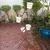 Foto de um(a) Floreira em ferro, da categoria de Móveis para jardim. Antiga floreira de canto em ferro com 5 suportes. Acompanha 4 vasos de porcelana e 1 vaso de cerâmica (perfeito para montar... Mostrado de uma perspectiva diferente. Vendido no marketplace Trésors.