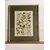 Foto de um(a) Par de belas figuras botânicas, da categoria de Desenhos. Lindas ilustrações botânicas vintage em quadro com moldura e vidro. Medindo 33,5 x 27,5cm. Mostrado de uma perspectiva diferente. Vendido no marketplace Trésors.