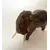 Foto de um(a) Elefante decorativo em madeira, da categoria de Escultura. Elefante decorativo esculpido em madeira. *Contém avaria em uma das orelhas, como mostra a foto. Mede: 17 x 15cm. Mostrado de uma perspectiva diferente. Vendido no marketplace Trésors.