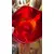 Foto de um(a) Antigo Vaso Jarro Art Deco Murano Italiano Vermelho Rubi, da categoria de Vasos. Antigo e belíssimo vaso artístico de Murano vermelho, meio alaranjando na parte interna, linda combinação de cores. Ótimo... Mostrado de uma perspectiva diferente. Vendido no marketplace Trésors.