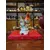 Foto de um(a) Antiga Escultura De Pássaro Porcelana Alemã Bavária Gerald, da categoria de Escultura. ~ Gerold Porzellan | Bavaria ~Antigo e importante bloco escultórico representando casal de pássaros. Peça artística, muito... Mostrado de uma perspectiva diferente. Vendido no marketplace Trésors.