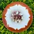 Foto de um(a) Antigo Medalhão Prato Decorativo Majólica Faiança Alemã, da categoria de Pratos Decorativos. Antigo e lindo prato decorativo em majólica/faiança alemã. Período Art Deco.Diâmetro 27cm. Mostrado de uma perspectiva diferente. Vendido no marketplace Trésors.
