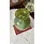 Foto de um(a) Antigo Vaso Jarro Art Deco Em Murano Verde George Davidson, da categoria de Vasos. ~ George Davidson Glass ~Antigo e belíssimo vaso artístico em Murano, feito à mão. Técnica de trabalho marmorizado. Art... Mostrado de uma perspectiva diferente. Vendido no marketplace Trésors.