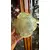 Foto de um(a) Antigo Cinzeiro Bowl Decorativo Em Murano Italiano Cactus, da categoria de Cinzeiros. Antigo e imponente cinzeiro artístico em Murano italiano feito à mão. Também pode ser usado para charuto. Lindo formato e... Mostrado de uma perspectiva diferente. Vendido no marketplace Trésors.
