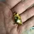 Foto de um(a) Antigo Broche Francês De Pássaro Dourado Com Pedra Vermelha, da categoria de Outros colecionáveis. Banhado a ouro. Muito bem conservado.Década de 1970.Aproximadamente 3cm. Mostrado de uma perspectiva diferente. Vendido no marketplace Trésors.