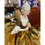 Foto de um(a) Antiga Rara Escultura Dama Mariquita Em Porcelana Alemã, da categoria de Escultura. Antiga e grande mariquita/escultura artística com linda figura feminina em porcelana alemã. Feita e pintada à mão. Peça toda... Mostrado de uma perspectiva diferente. Vendido no marketplace Trésors.