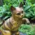 Foto de um(a) Antiga Grande Escultura De Gato Terracota Austríaca Assinada, da categoria de Escultura. Antiga e grande escultura artística, feita à mão em terracota Austríaca, peça muito expressiva, com bastante riqueza de... Mostrado de uma perspectiva diferente. Vendido no marketplace Trésors.
