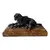 Foto de um(a) Antiga Escultura Cachorro Poodle Petit Bronze E Mármore, da categoria de Escultura. Antiga e linda escultura de cachorro da raça poodle em pétit bronze sobre mármore italiano Rosso Verona. Peça artística.... Vendido no marketplace Trésors.