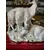 Foto de um(a) Antiga Escultura Bloco Escultórico Cabra Em Porcelana Alemã, da categoria de Escultura. Antigo bloco escultórico representando família de cabras, uma graça! Peça artística, em porcelana alemã, com selo da... Mostrado de uma perspectiva diferente. Vendido no marketplace Trésors.