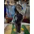 Foto de um(a) Antiga Obra Escultura De Coruja Art Deco Em Murano Italiano, da categoria de Escultura. ~ Italy Glass ~Belíssima escultura de coruja feita à mão em Murano artístico. Símbolo da inteligência e da sabedoria, a... Mostrado de uma perspectiva diferente. Vendido no marketplace Trésors.