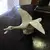 Foto de um(a) Antiga Rara Escultura De Pato Em Porcelana Espanhola Lladró, da categoria de Escultura. Lladró. Linda escultura representando pato em movimento, feito à mão, em finíssima porcelana espanhola, da famosa manufatura... Mostrado de uma perspectiva diferente. Vendido no marketplace Trésors.