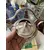 Foto de um(a) Antigo Raro Samovar Bule Completo Prata Inglesa Sheffield, da categoria de Chaleiras. ~ Sheffield ~Antigo e finíssimo samovar em metal espessurado a prata, estilo inglês. Todo original, com detalhes em relevo,... Mostrado de uma perspectiva diferente. Vendido no marketplace Trésors.