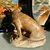 Foto de um(a) Antiga Rara Escultura Cachorro Buldogue Mármore Ernst Beck, da categoria de Escultura. E. Beck (Ernst Beck - 1879/1941). Antiga escultura artística de cachorro buldogue esculpido à mão em mármore italiano. Peça... Mostrado de uma perspectiva diferente. Vendido no marketplace Trésors.