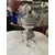 Foto de um(a) Antigo Raro Samovar Bule Completo Prata Inglesa Sheffield, da categoria de Chaleiras. ~ Sheffield ~Antigo e finíssimo samovar em metal espessurado a prata, estilo inglês. Todo original, com detalhes em relevo,... Mostrado de uma perspectiva diferente. Vendido no marketplace Trésors.