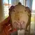 Foto de um(a) Antiga Placa Escultura De Dama Art Nouveau Biscuit Francêsq, da categoria de Placas. ~ Art Nouveau ~ Antiga e linda placa decorativa em biscuit francês, peça toda artística, feita e pintada à mão. Os detalhes... Mostrado de uma perspectiva diferente. Vendido no marketplace Trésors.