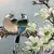 Foto de um(a) Antigo Raro Vaso Oriental Porcelana Japonesa Pintado À Mão, da categoria de Vasos. Antigo e grande vaso oriental em porcelana artística, peça toda pintada à mão com decoração de pássaros e flores. Cada lado... Mostrado de uma perspectiva diferente. Vendido no marketplace Trésors.