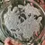 Foto de um(a) Antigo Raro Par Pratos Decorativos Cristal Francês Assinados, da categoria de Pratos Decorativos. Antigo e lindo par de pratos decorativos, em cristal francês, decoração floral lapidada à mão com bastante riqueza de... Mostrado de uma perspectiva diferente. Vendido no marketplace Trésors.