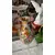 Foto de um(a) Antigo Raro Vaso Em Murano Italiano Ouro Millefiori Original, da categoria de Vasos. ~ Millefiori ~ Murano italiano, significa “mil flores” Belíssimo vaso artístico em Murano com ouro, ricamente feito à mão... Mostrado de uma perspectiva diferente. Vendido no marketplace Trésors.