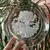 Foto de um(a) Antigo Raro Par Pratos Decorativos Cristal Francês Assinados, da categoria de Pratos Decorativos. Antigo e lindo par de pratos decorativos, em cristal francês, decoração floral lapidada à mão com bastante riqueza de... Mostrado de uma perspectiva diferente. Vendido no marketplace Trésors.