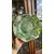 Foto de um(a) Antigo Centro De Mesa Opalina Verde Prata Dama Nua Art Deco, da categoria de Centro de mesa. Antigo e grande centro de mesa em opalina francesa na cor verde, belíssima decoração artística em prata com flores ao redor... Mostrado de uma perspectiva diferente. Vendido no marketplace Trésors.