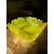 Foto de um(a) Antigo Bowl Decorativo Murano Italiano Amarelo Década 1960, da categoria de Travessas e tigelas. Antigo bowl decorativo em Murano italiano na cor amarelo. Peça artística, feita à mão. Original da década de 1960. Medidas... Mostrado de uma perspectiva diferente. Vendido no marketplace Trésors.