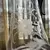 Foto de um(a) Antigo Raro Par De Jarras Claret Jug Cristal Art Nouveau Wmf, da categoria de Garrafas, potes e jarros. WMF. Antigo e raro par de grandes jarras Claret jug em cristal alemão lapidadas à mão, linda decoração floral em relevo.... Mostrado de uma perspectiva diferente. Vendido no marketplace Trésors.