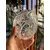 Foto de um(a) Antiga Cestinha Decorativa Cristal Baccarat Lapidado À Mão, da categoria de Cestos e Caixas. Antiga e delicada cestinha decorativa em cristal francês, peça super versátil para compor ambientes. Primorosa lapidação... Mostrado de uma perspectiva diferente. Vendido no marketplace Trésors.